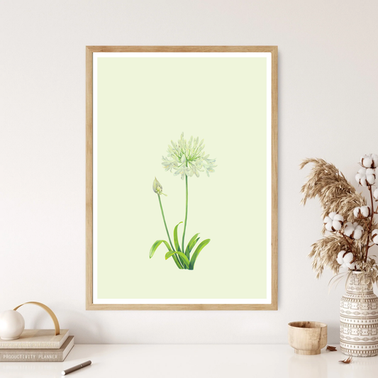 Dandelion Plant Print