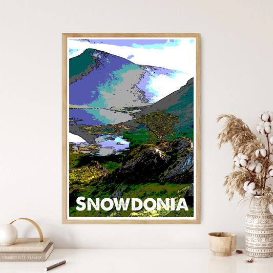 Snowdonia National Park Art Wall Print