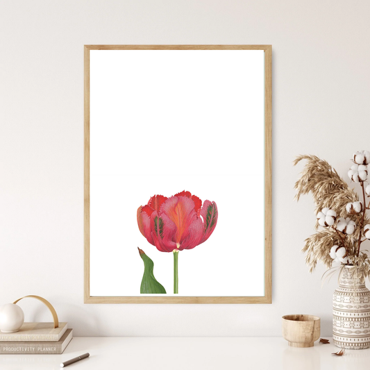 Single Intricate Rose Wall Print (Two Colours)